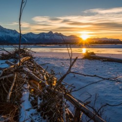 Alaskan Winter Sun